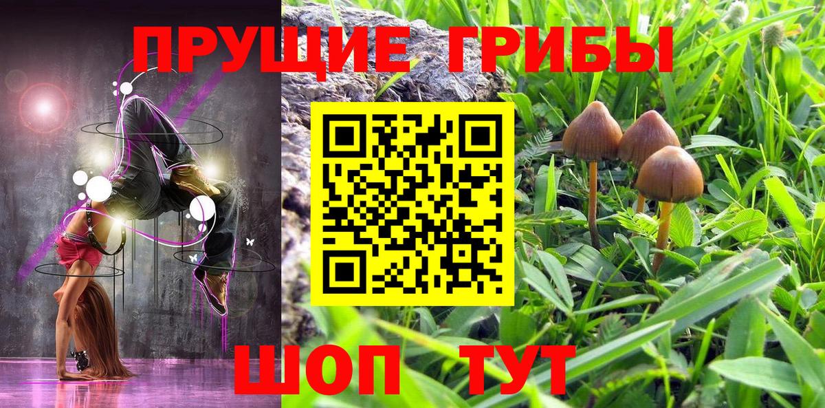 Белебей  Псилоцибиновые грибы мухоморы  Вход с VPN 